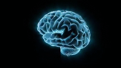 A GIF of a neon blue brain rotating.
