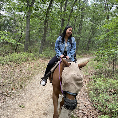 An NYU student of color riding a horse in the woods.