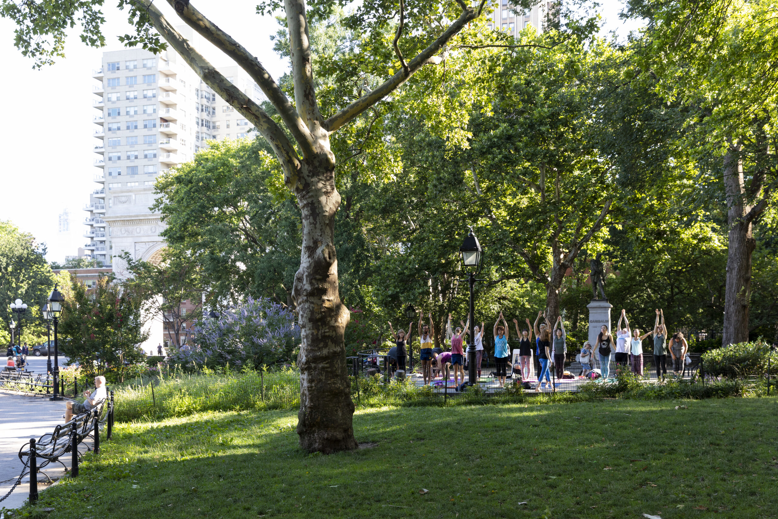 A yoga class being held in a park in New York City.