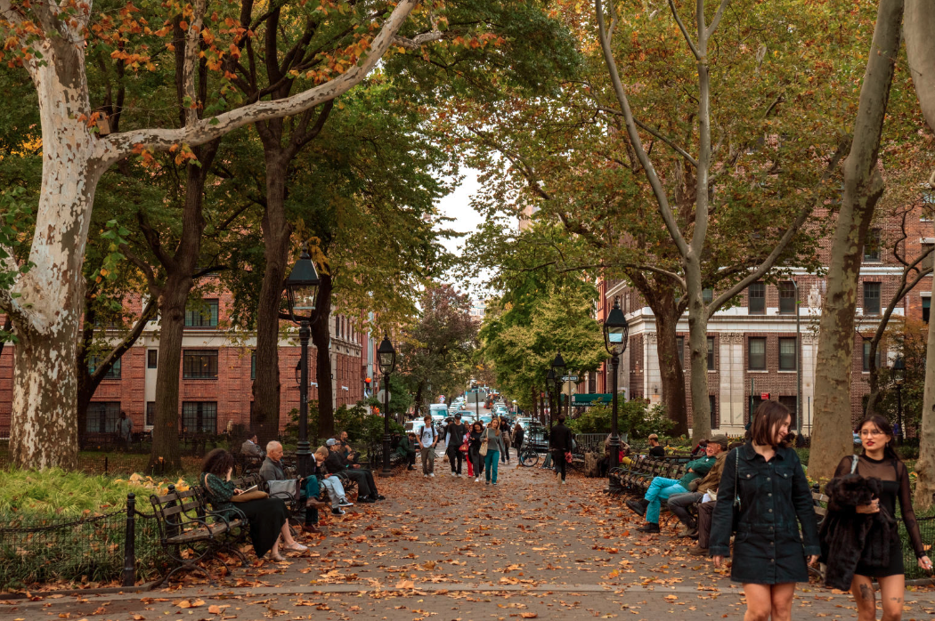 Washington Square Park in the fall