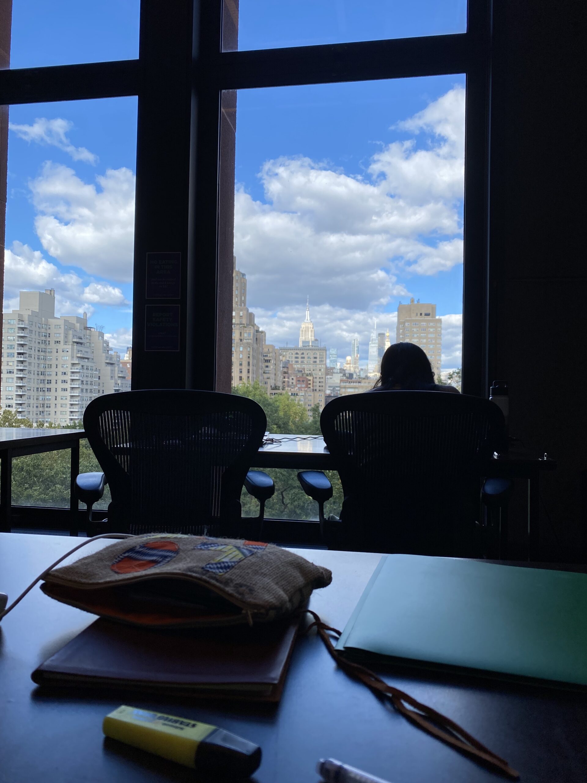 A northern window from the 8th floor of NYU’s Bobst Library, where one can see New York City’s Fifth Avenue.