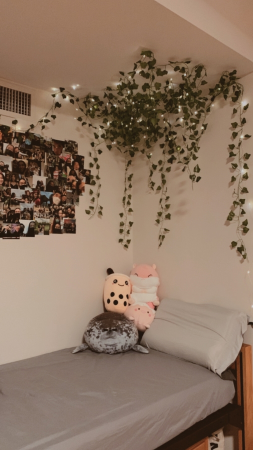 The author’s dorm room decorations, from hanging plants and stuffed animals to photographs and string lights.