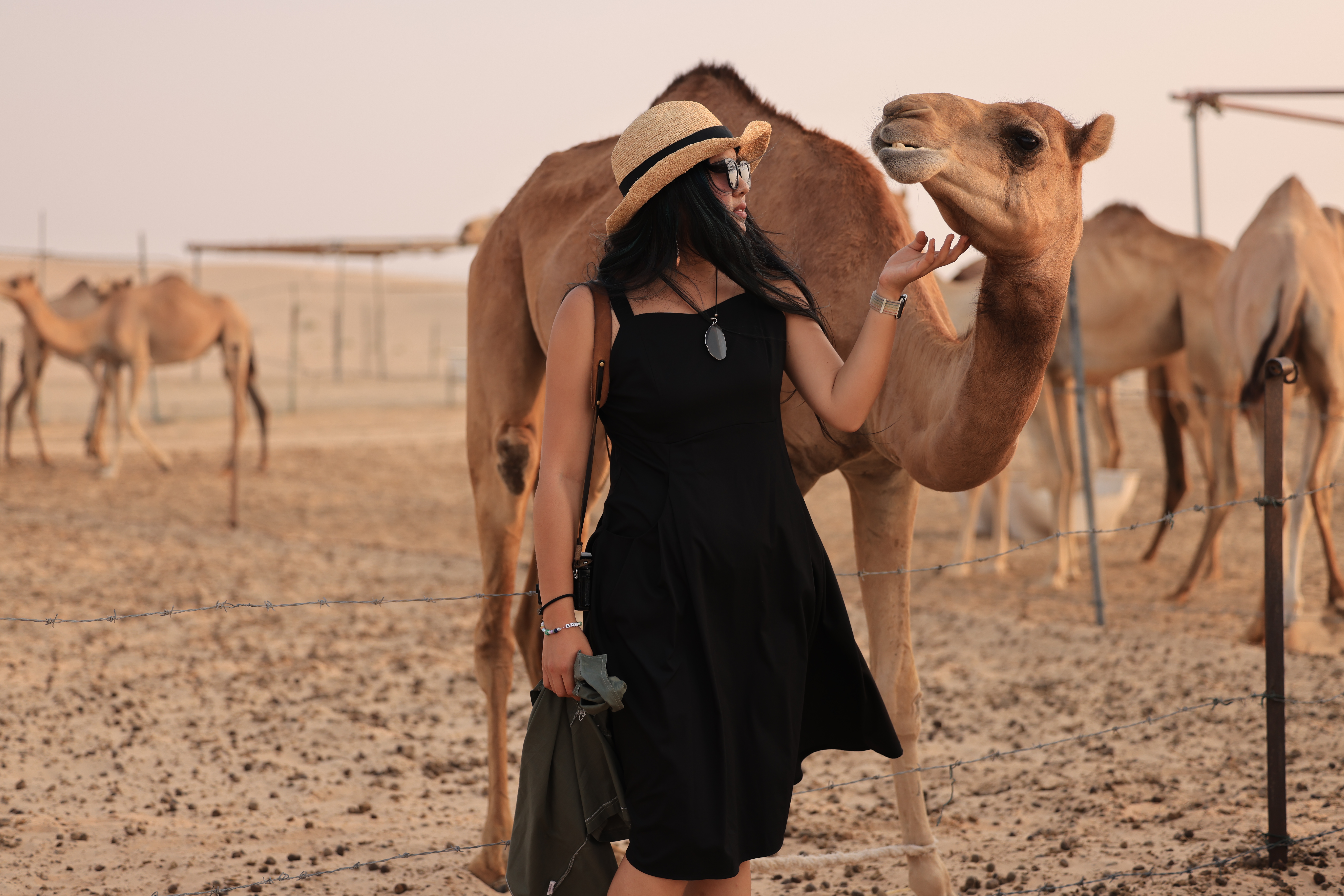 Student Ray Qian standing next to a camel in a desert.
