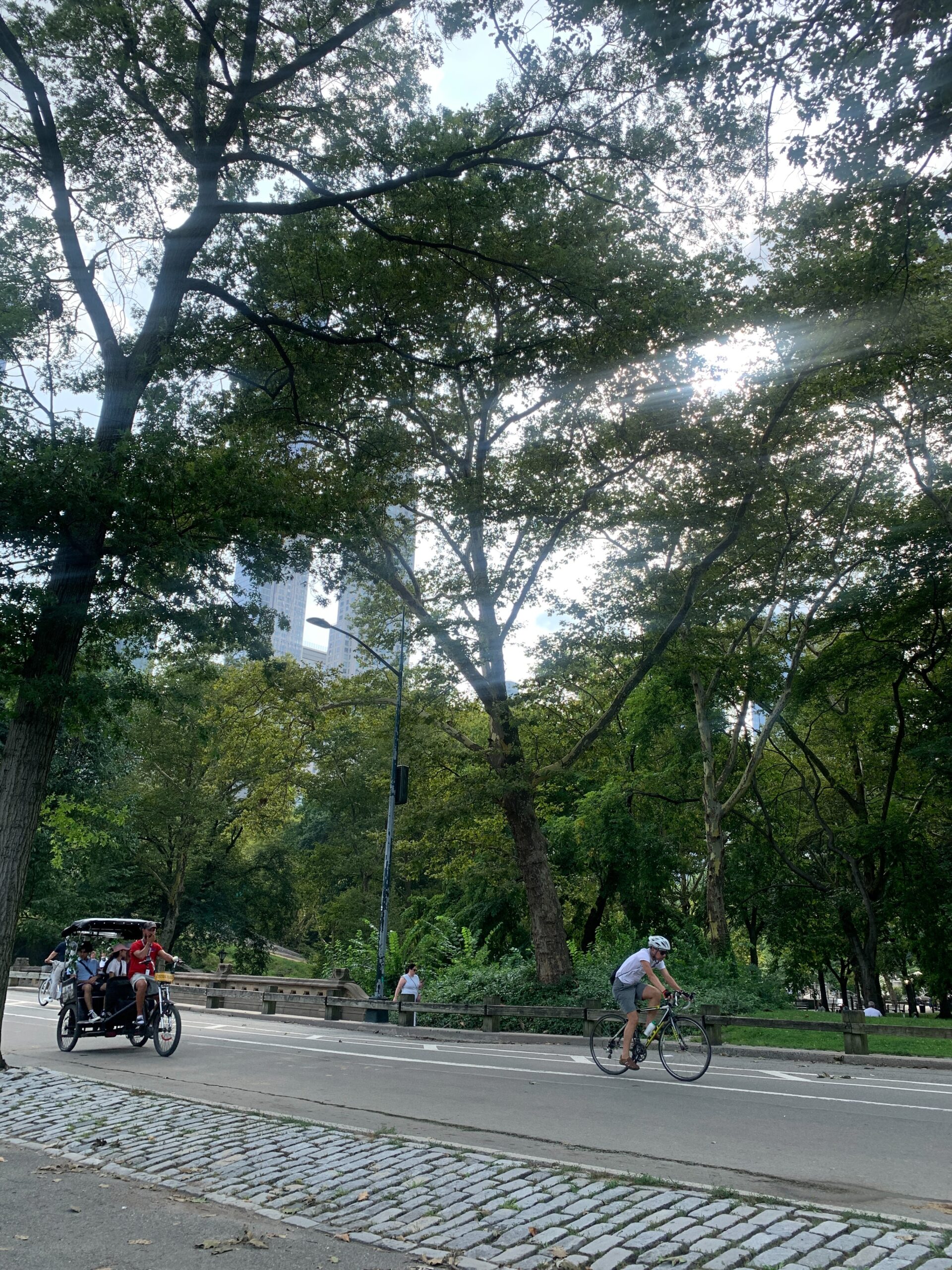 A person riding a bike and a group of people getting a bike cart tour in Central Park in New York City.