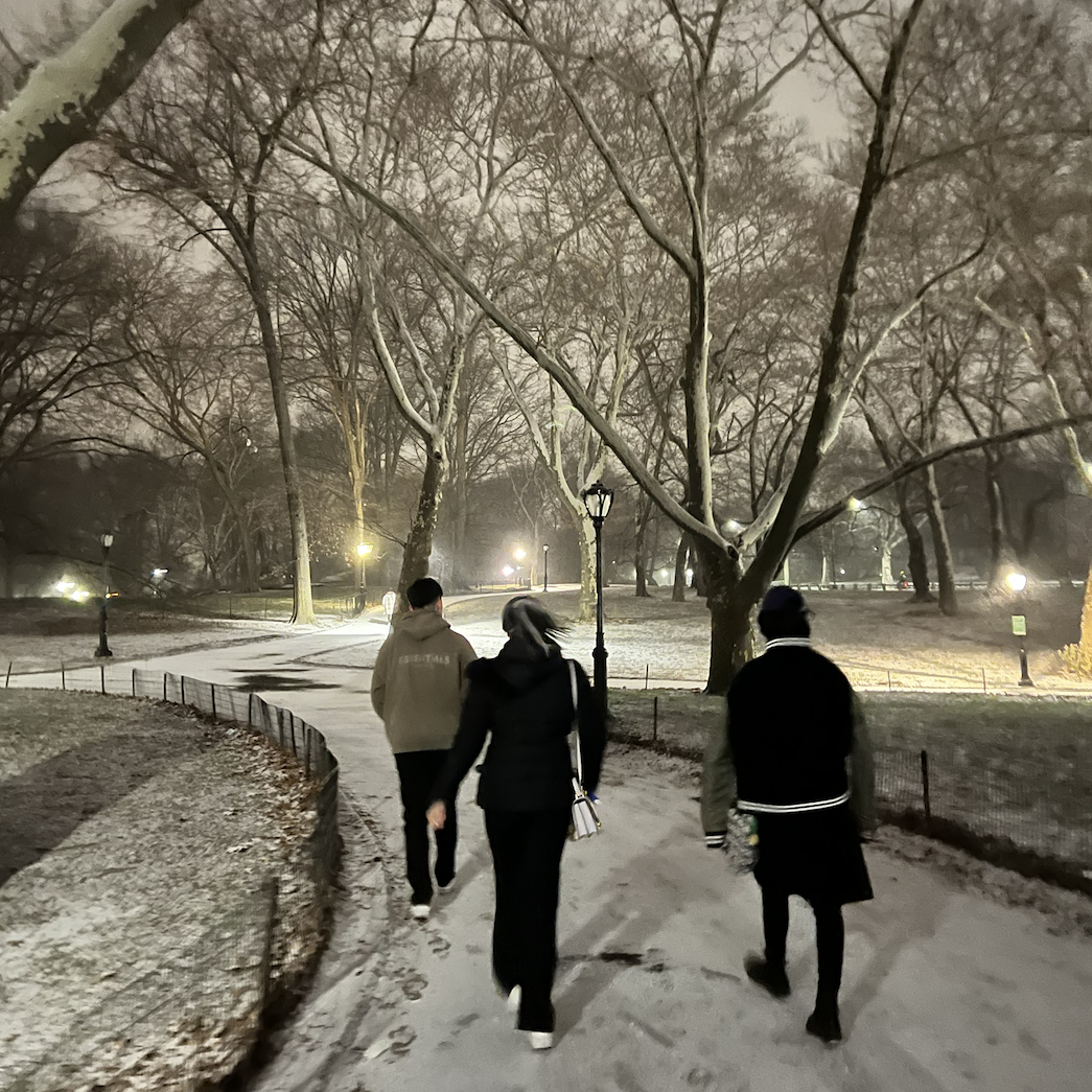 Three students walking through a snowy Central Park.