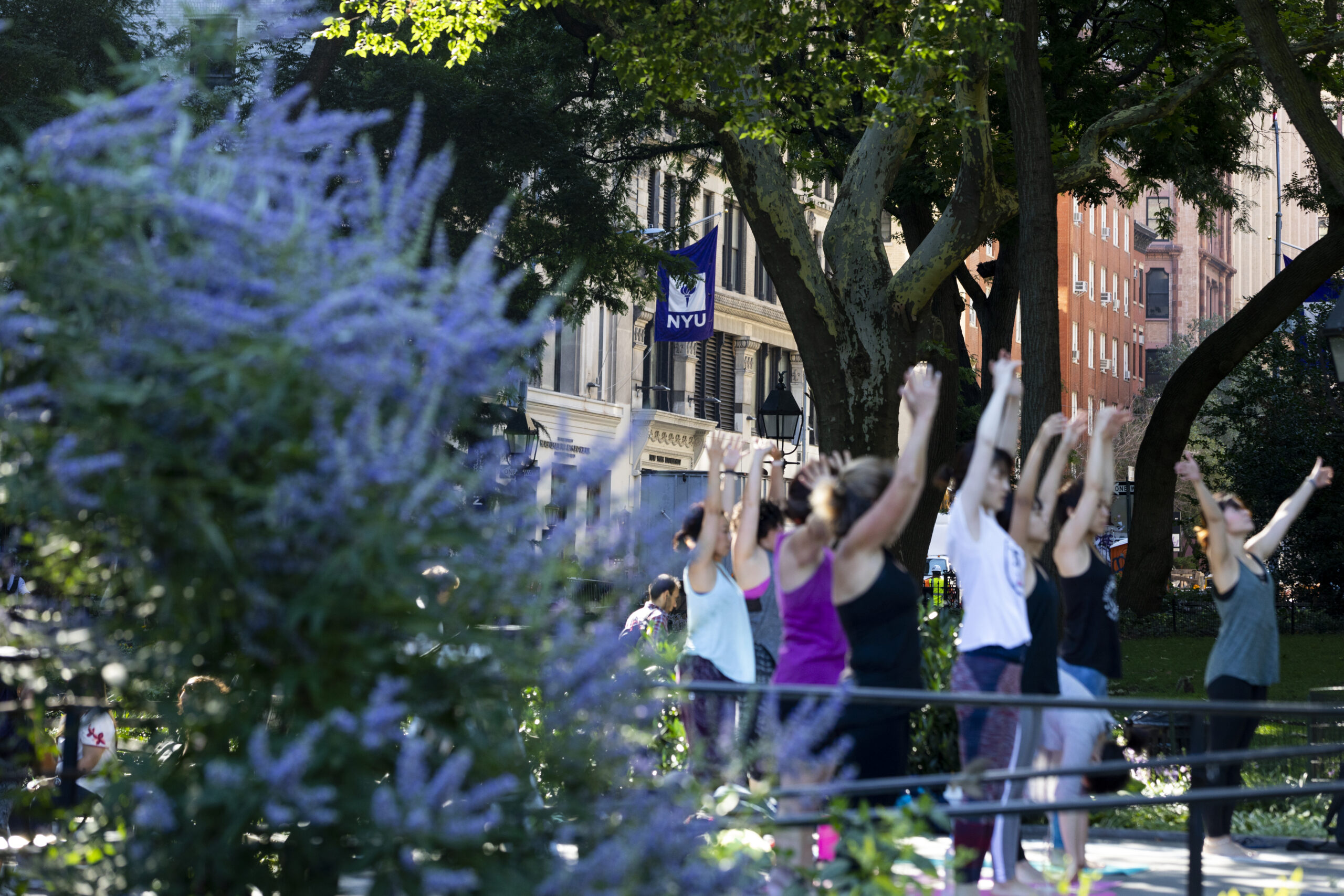 People practicing yoga in Washington Square Park.
