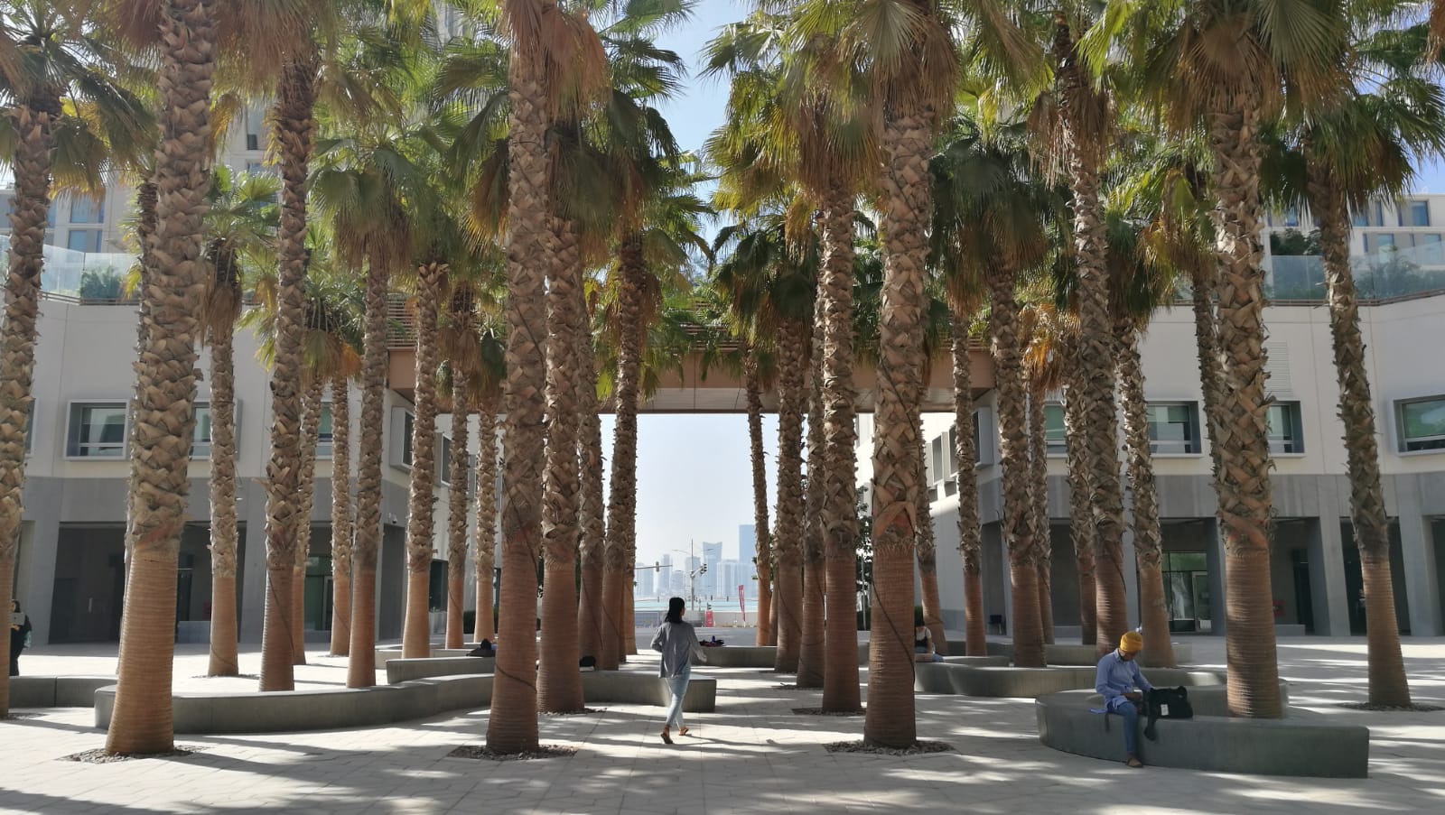 Palm trees in the center for the NYU Abu Dhabi campus. One person is walking through them, and another sits on a bench beneath their shade.