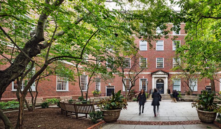 A tree frames the NYU Law School courtyard.