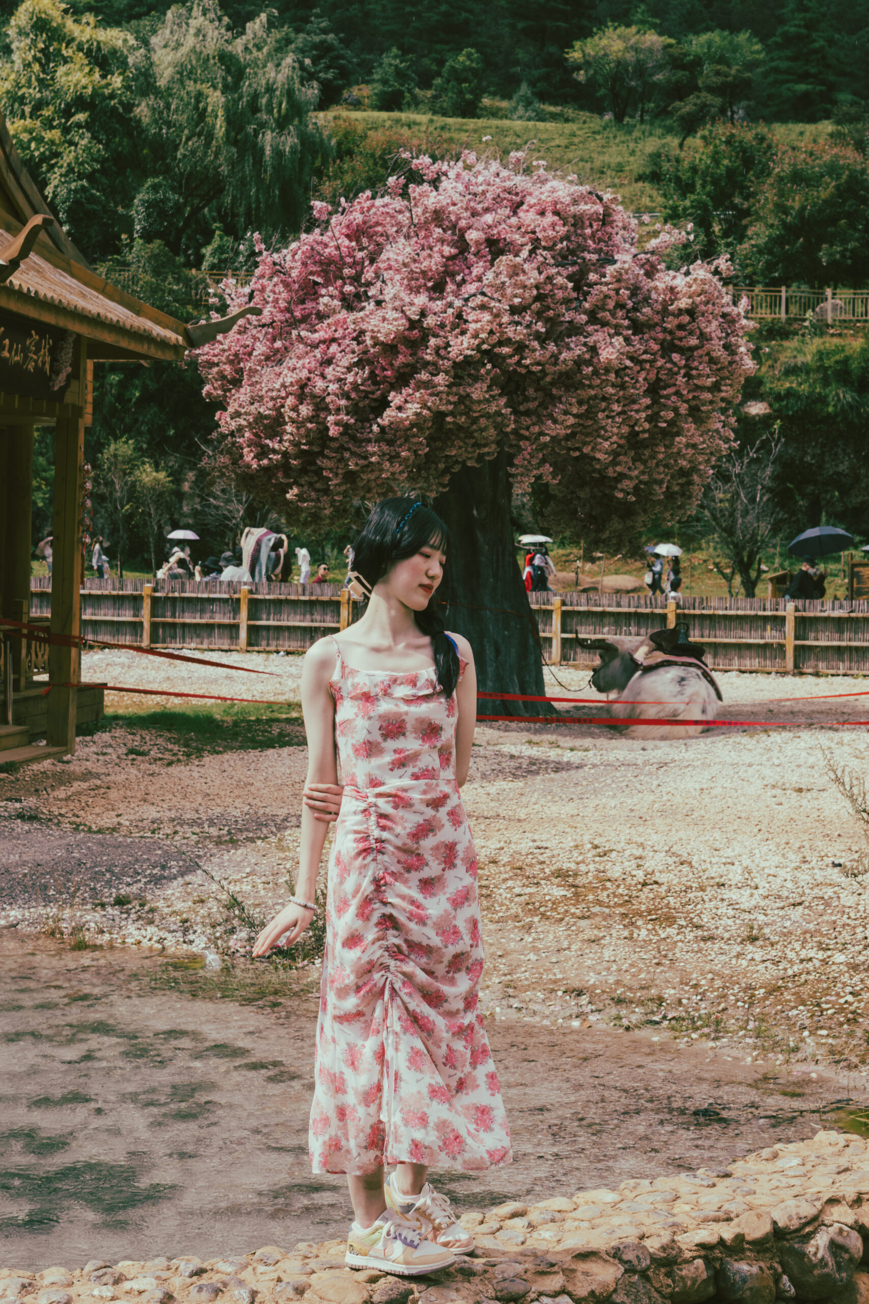 A person in a dress standing in front of a tree.