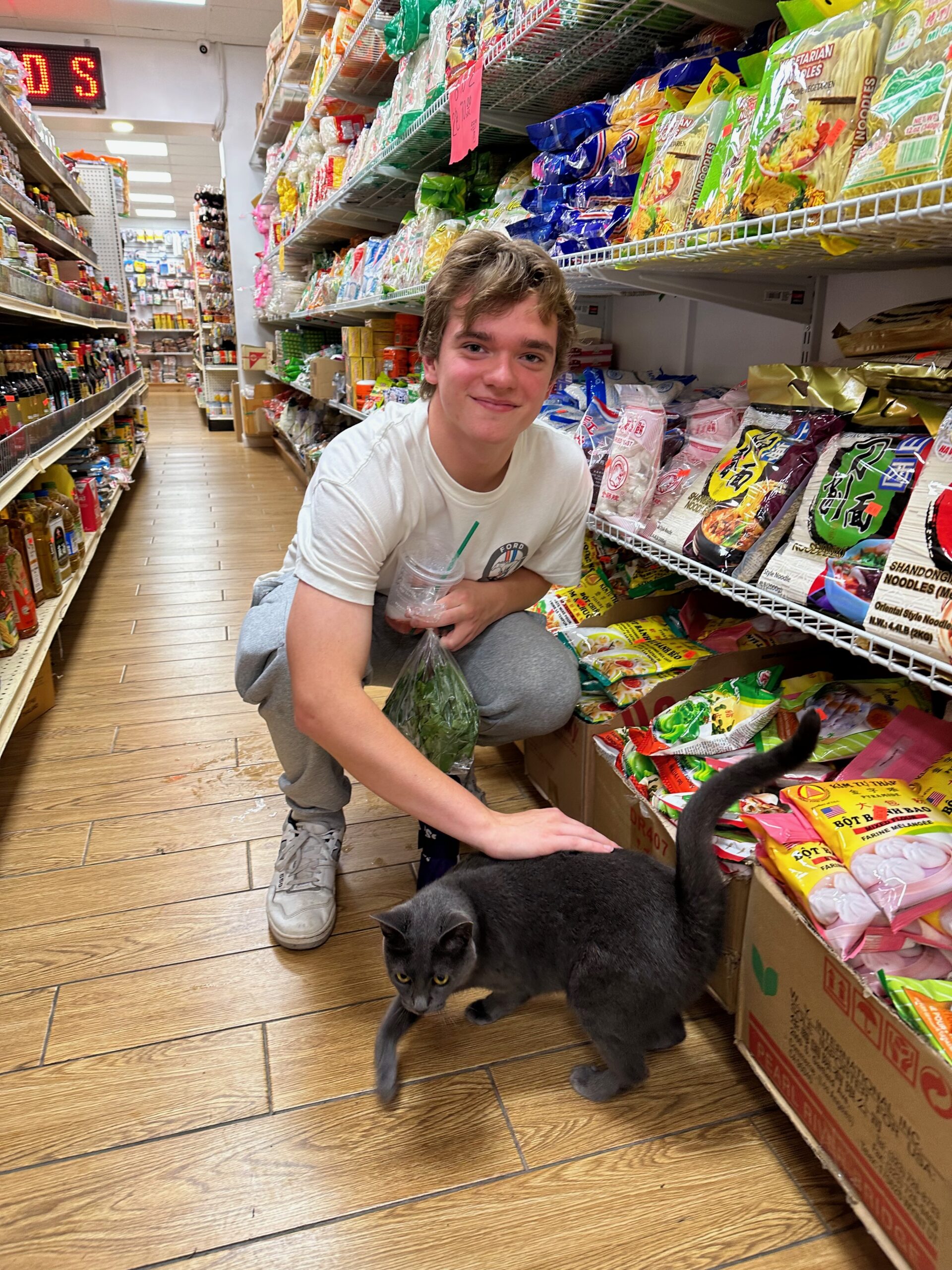A male-presenting college student pets a cat in a market in Chinatown, New York City.