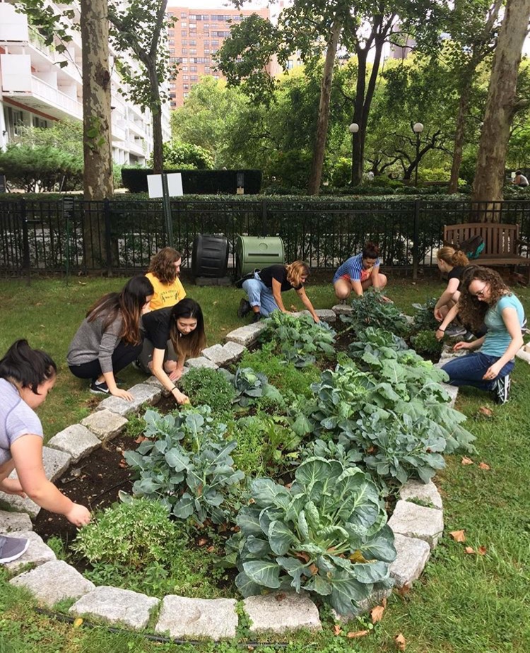 Students working in an outdoor garden.