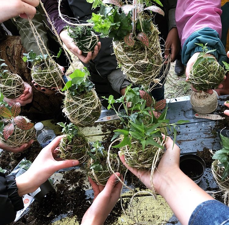 Students hold kokedamas, balls of soil, covered with moss, on which ornamental plants grow.