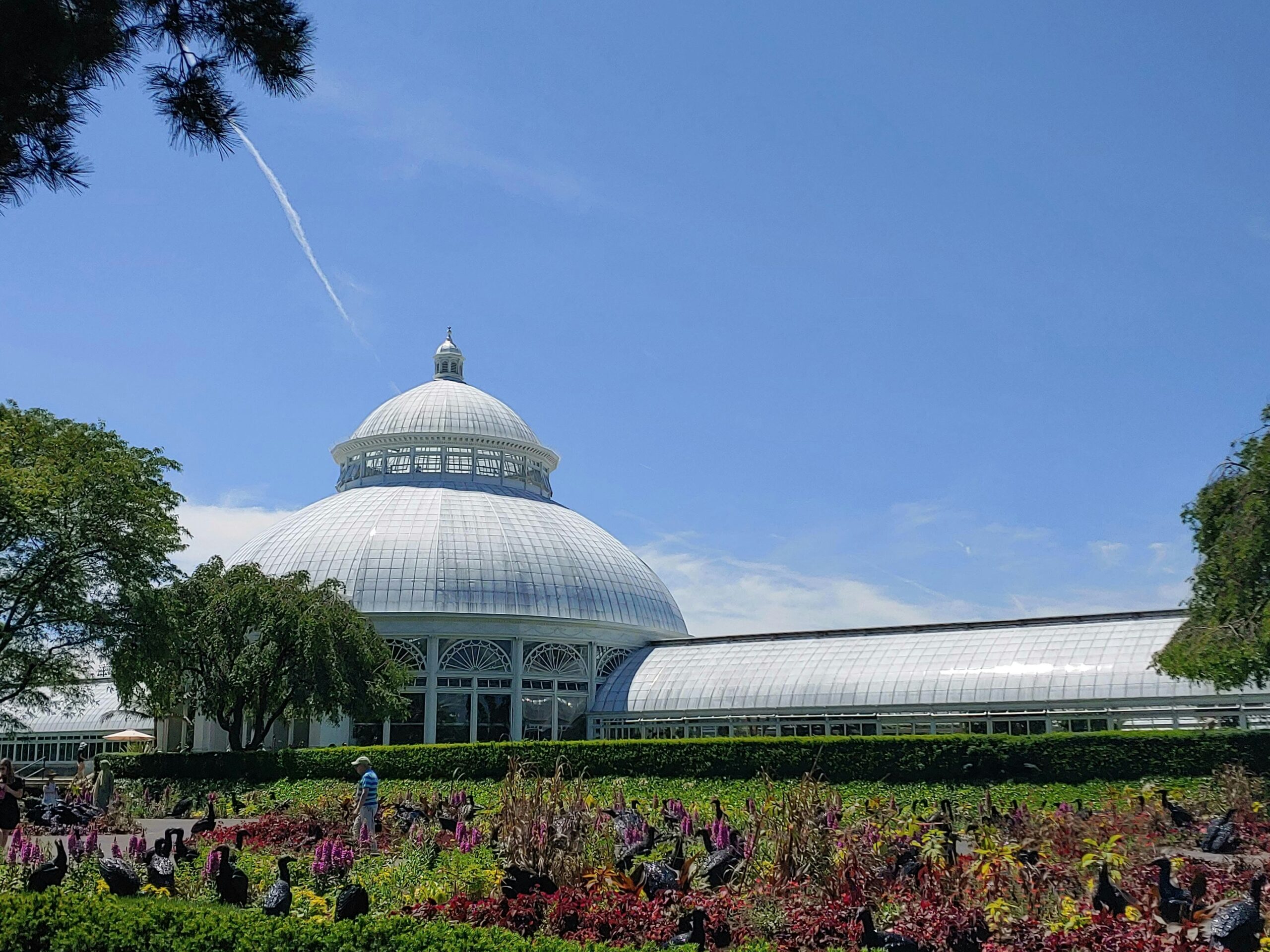 The New York Botanical Garden’s grounds with a greenhouse.