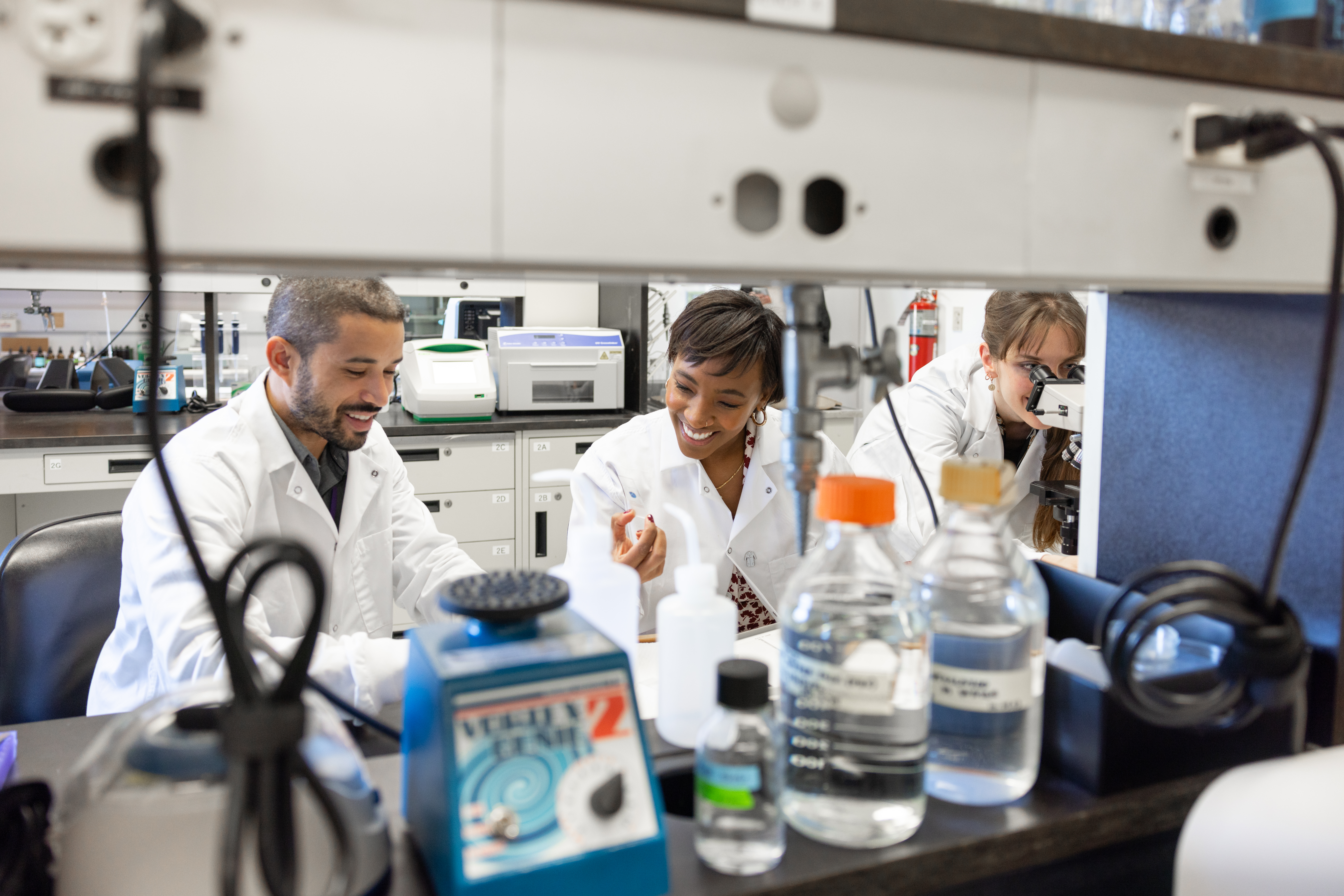 Professor Joyce Onyenedum (center) smiling and working with her team members in her lab, where they study plant diversity and evolution.