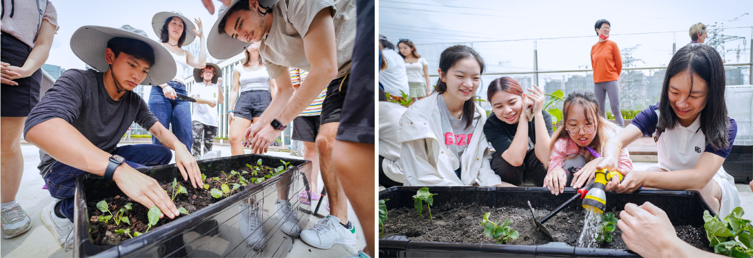 Left: A student wearing a wide-brimmed hat plants seedlings in a garden bed while other students watch and assist. Right: A group of students work together to water and tend to plants in a garden bed.