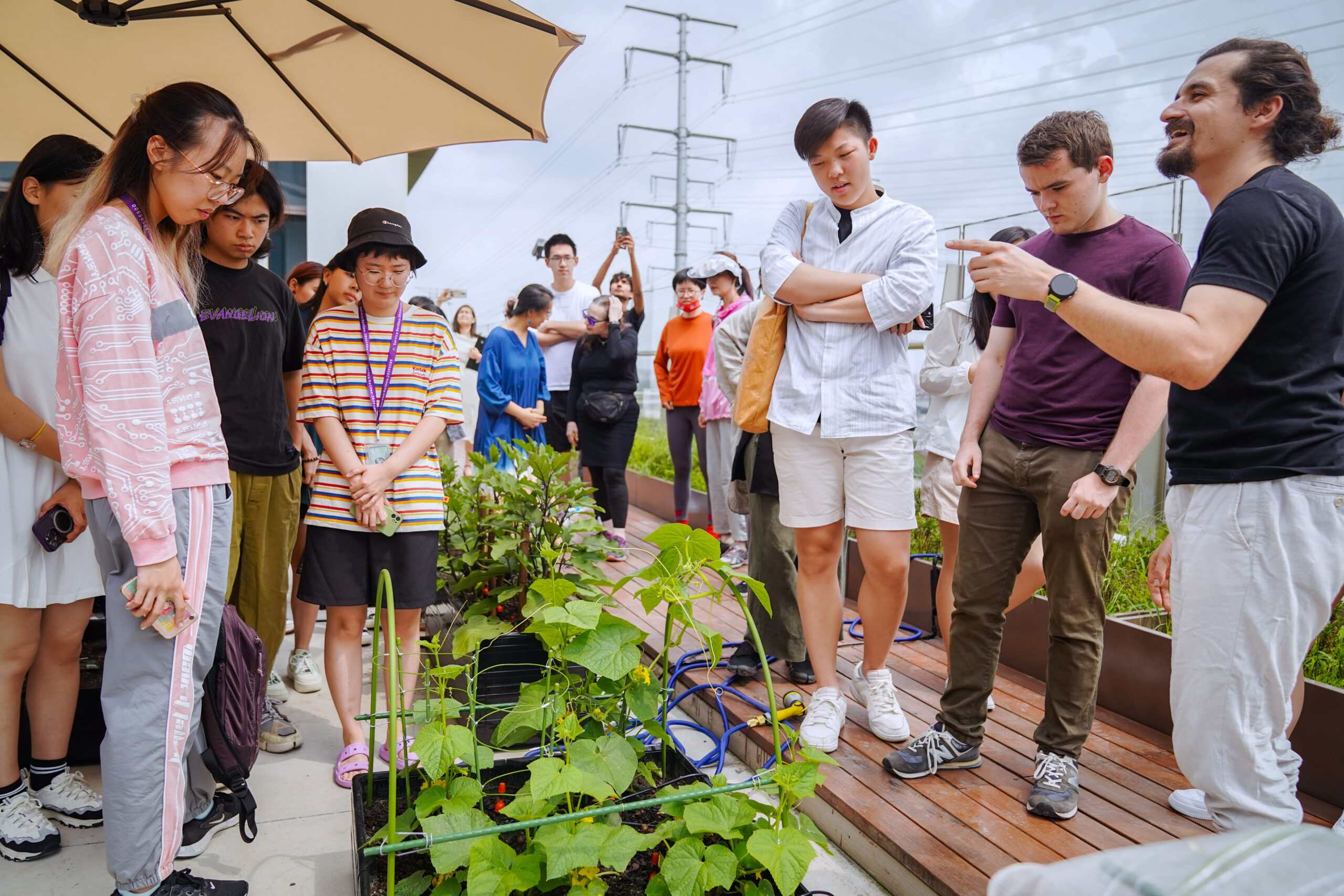 A group of people gather around a rooftop garden, attentively listening to a guide explaining the plants.