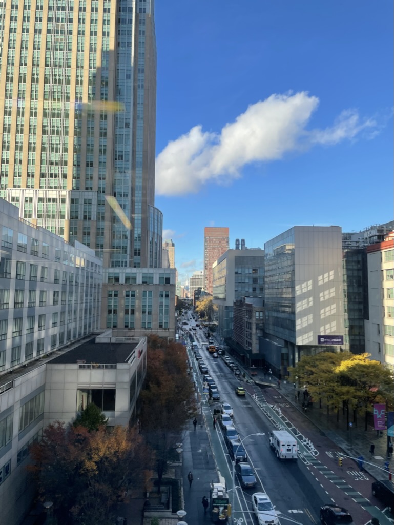 The NYU Downtown Brooklyn Campus.