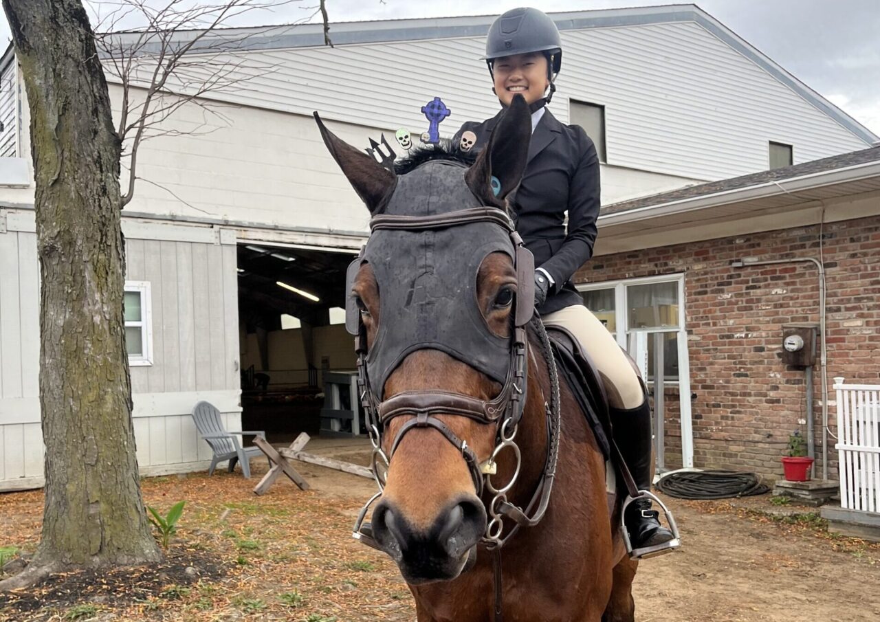 Rider on a horse that is dressed in a halloween mask