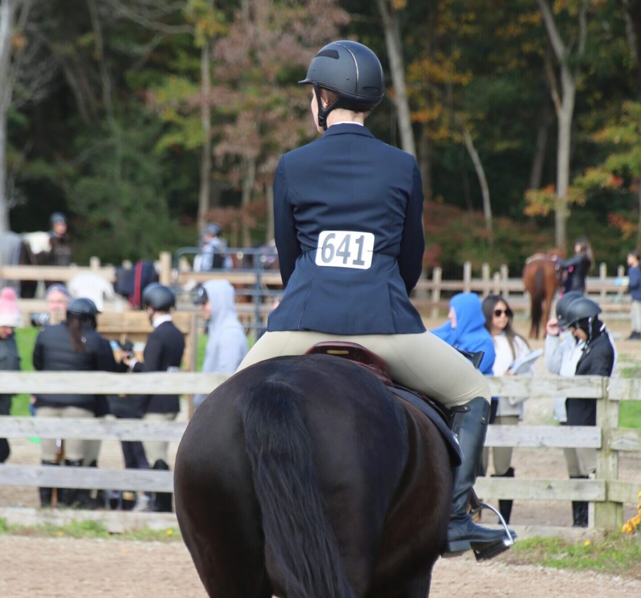 Rider on a horse, walking away from the camera