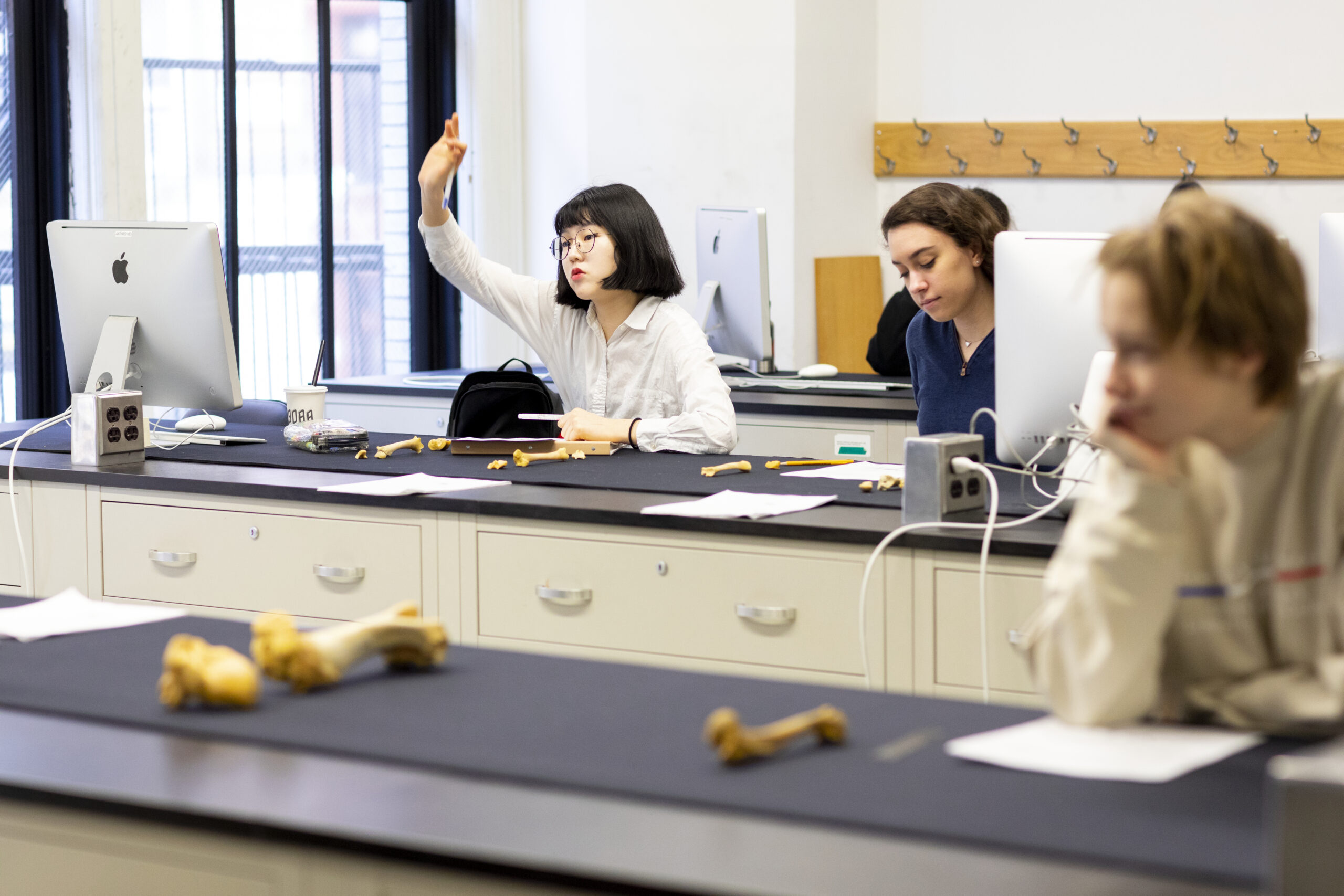 A student raising their hand in an archaeology class.