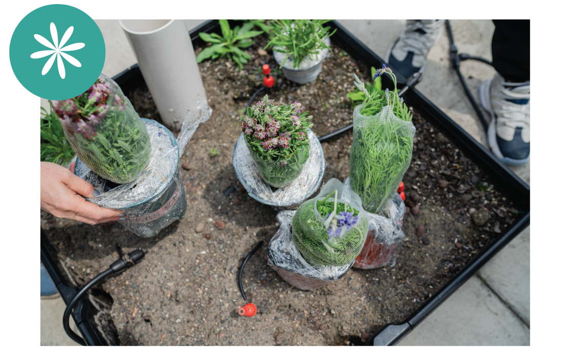 Students working together in a community garden, with a blue circle featuring a graphic of a flower in the upper left corner of the image.