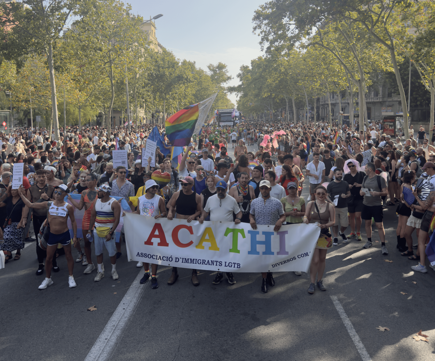 A vibrant pride parade featuring a diverse group of participants marching under a banner for ACATHI, an association for LGBTQ immigrants, with rainbow flags and a large crowd filling the sunny tree-lined street.