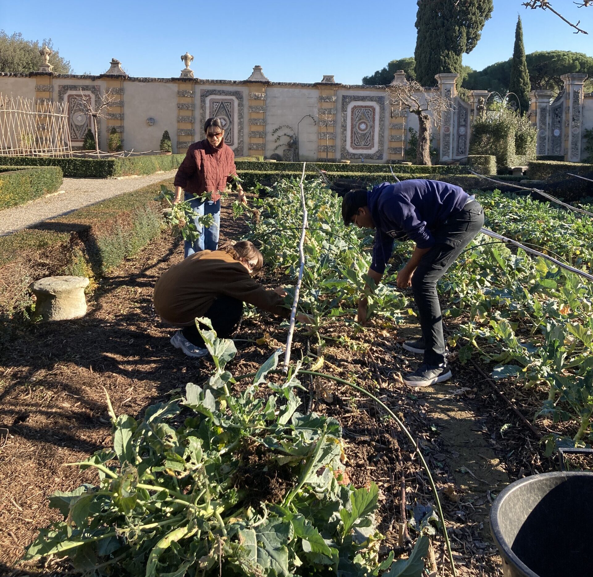 A group of students working in a garden in Florence.