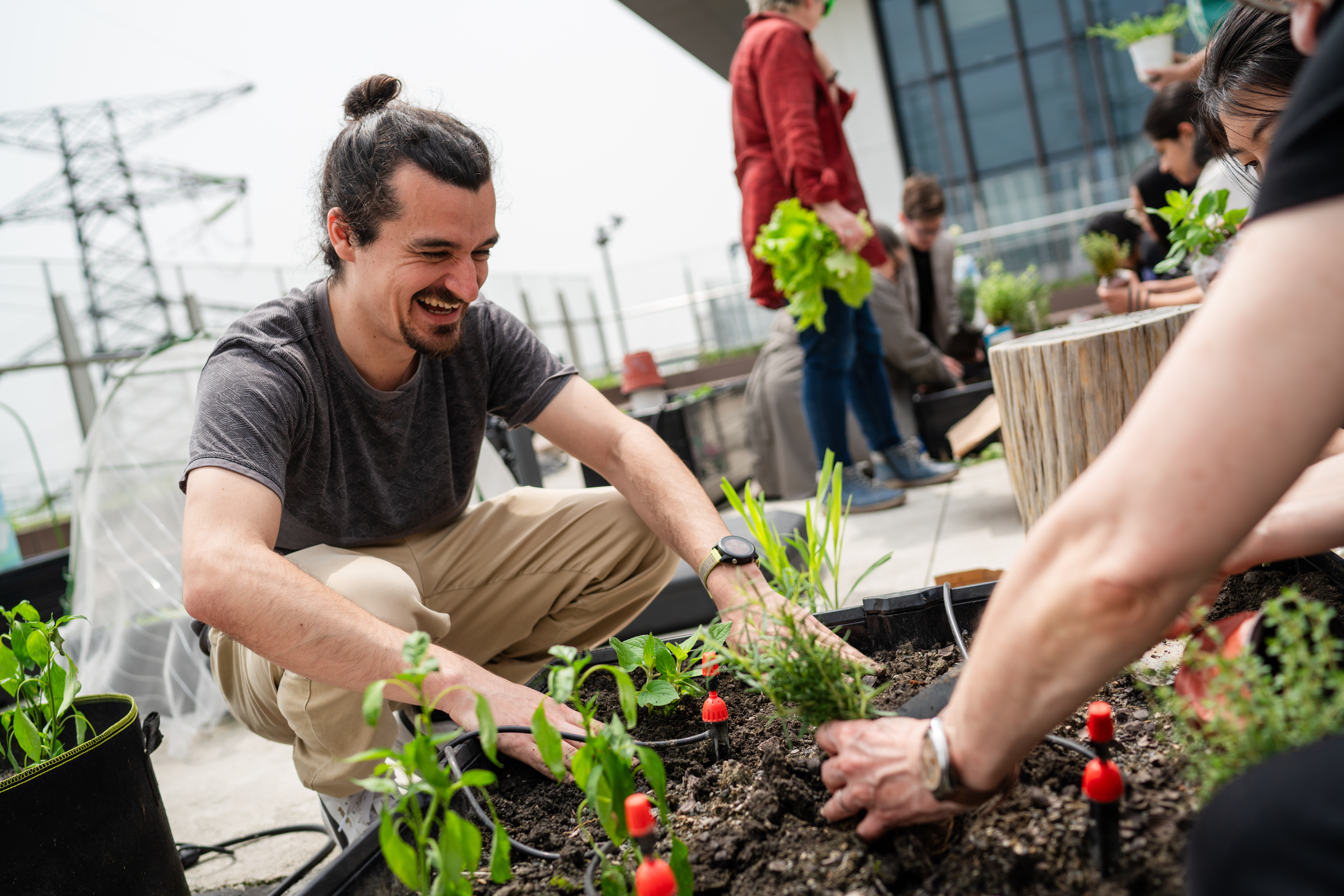 A student working in a rooftop garden.