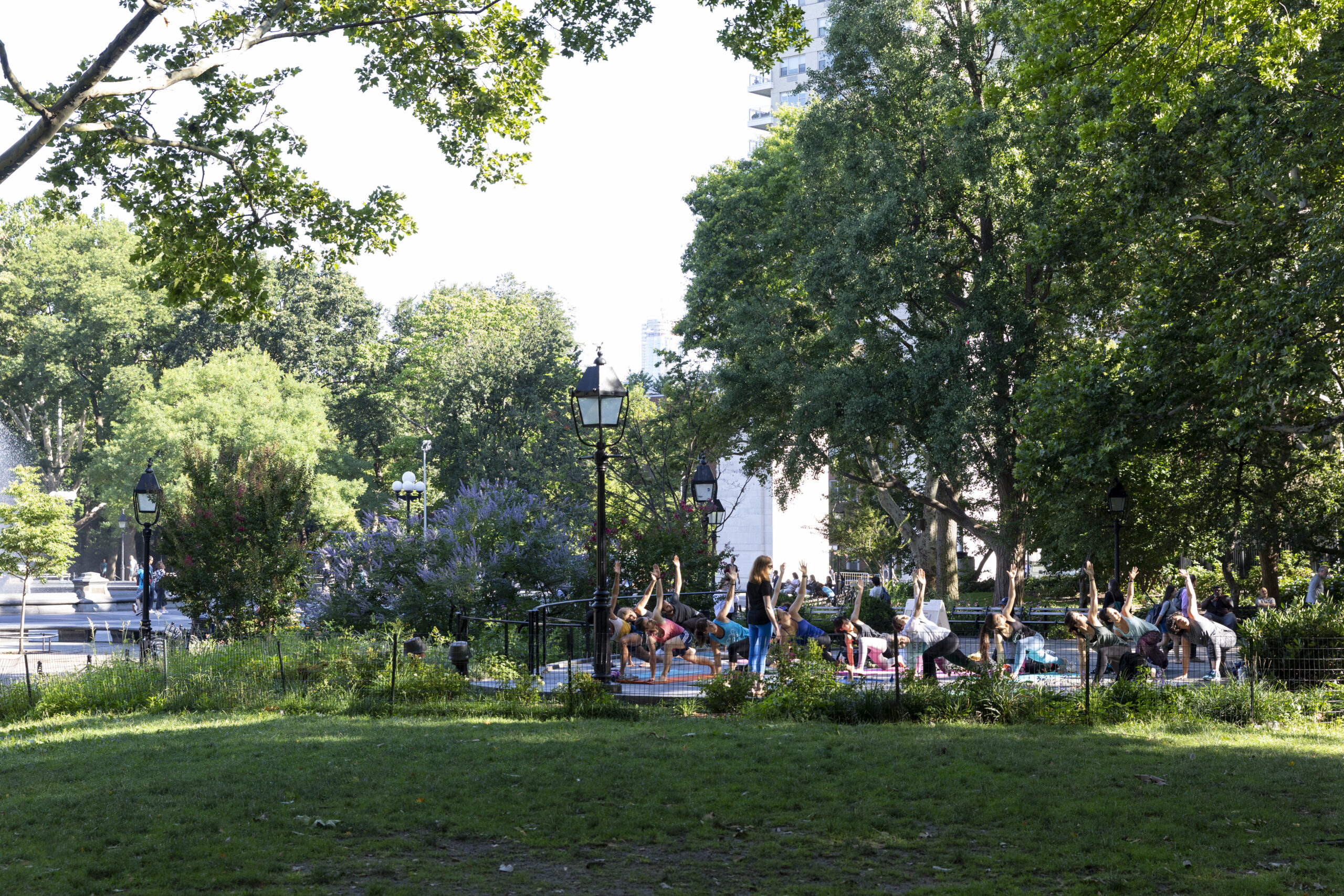 A large group of people do yoga in Washington Square Park.