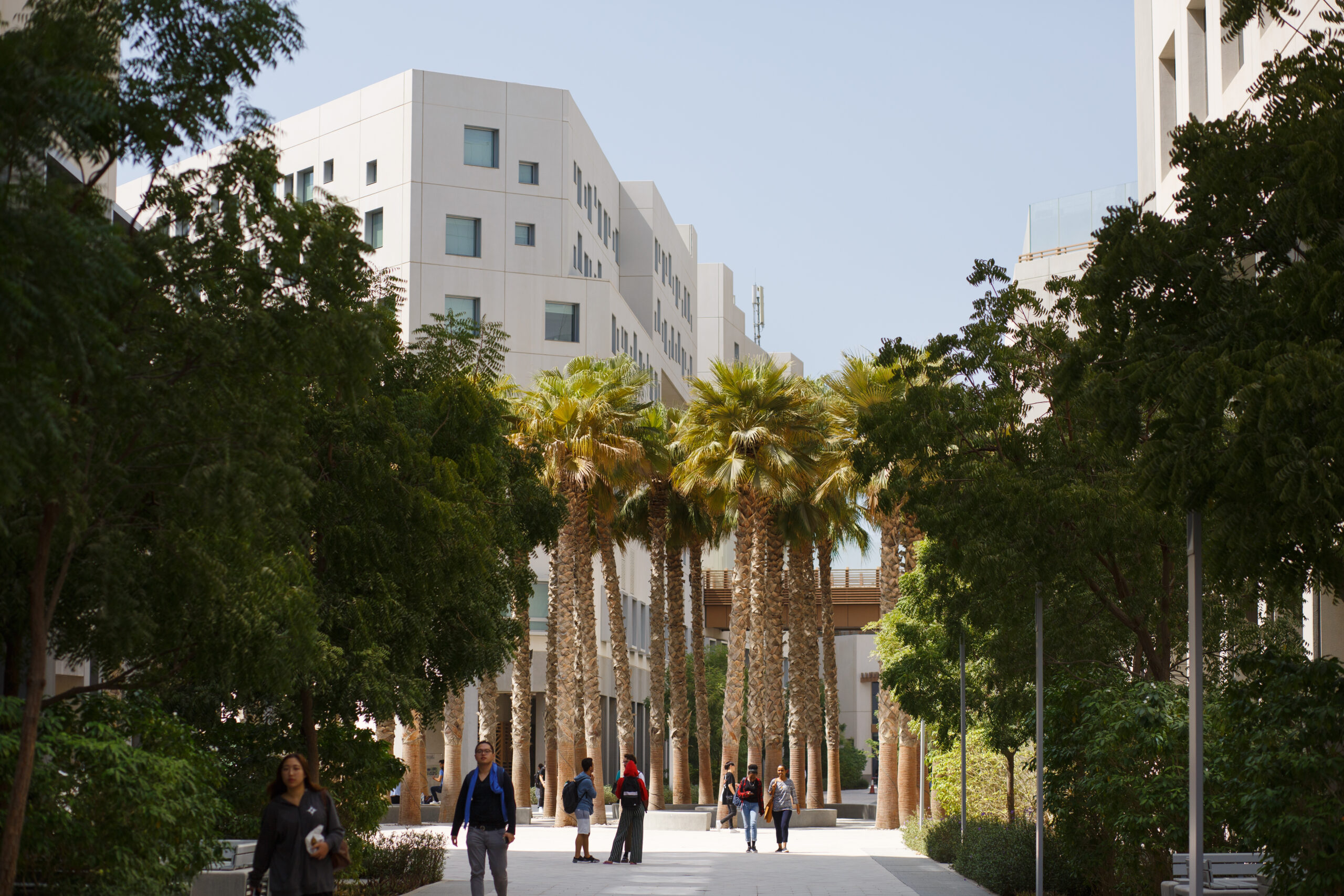 The NYU Abu Dhabi campus with tall white brick buildings surrounded by palm trees.