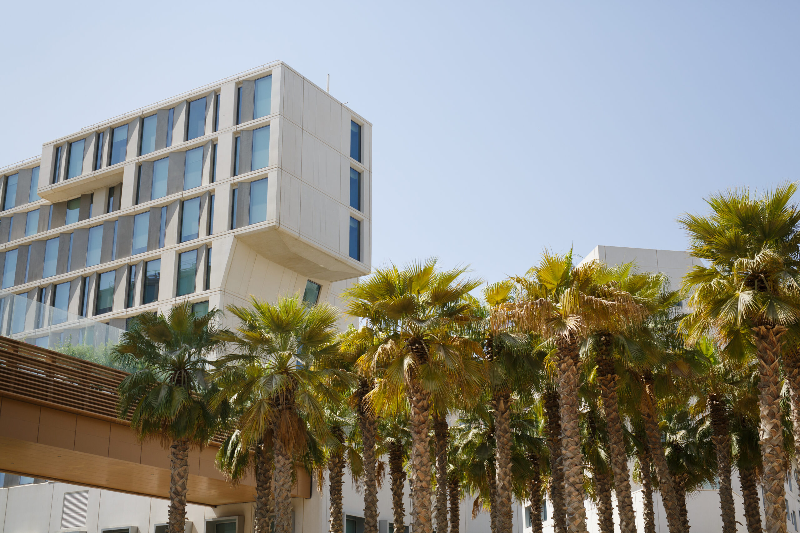 A large gray building is surrounded by palm trees on the NYU Abu Dhabi campus.