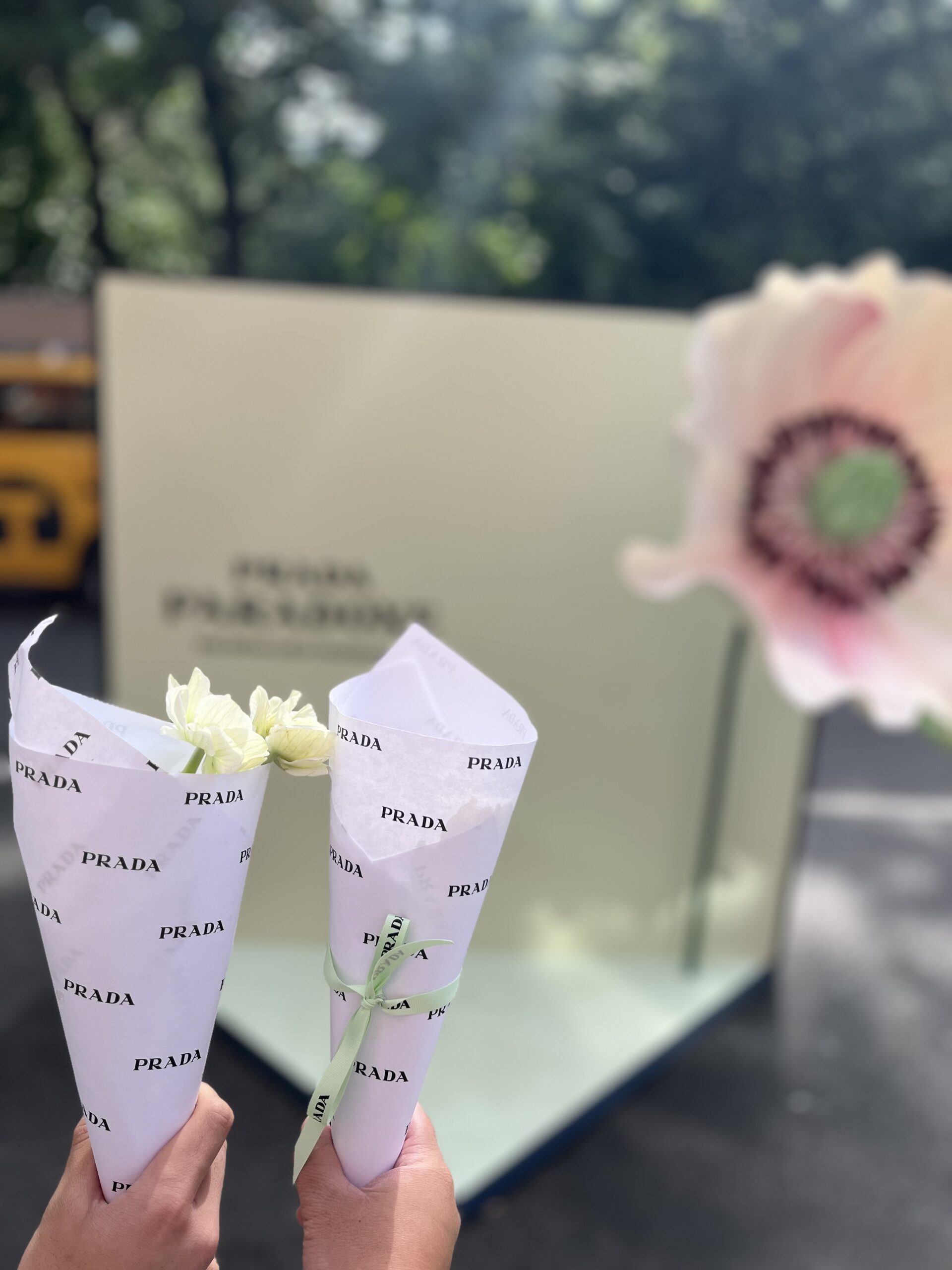 Picture Of Prada Pop-Up!