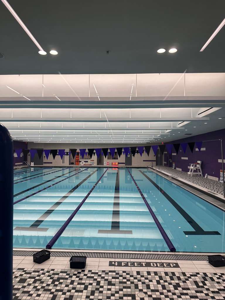 An empty swimming pool with designated swim lanes.