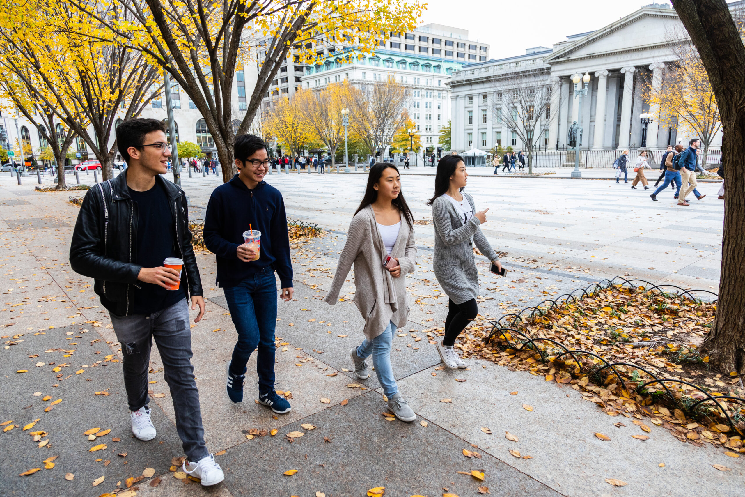 A group of students walking down a tree-lined street in DC.