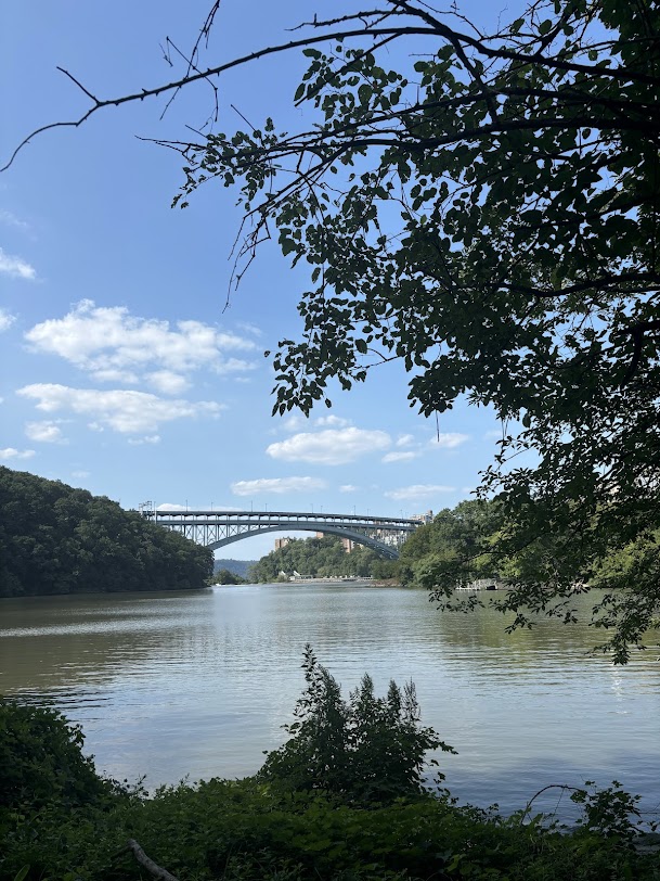 A serene park with a clear blue sky, a bridge over a lake, and bright green trees surrounding it.