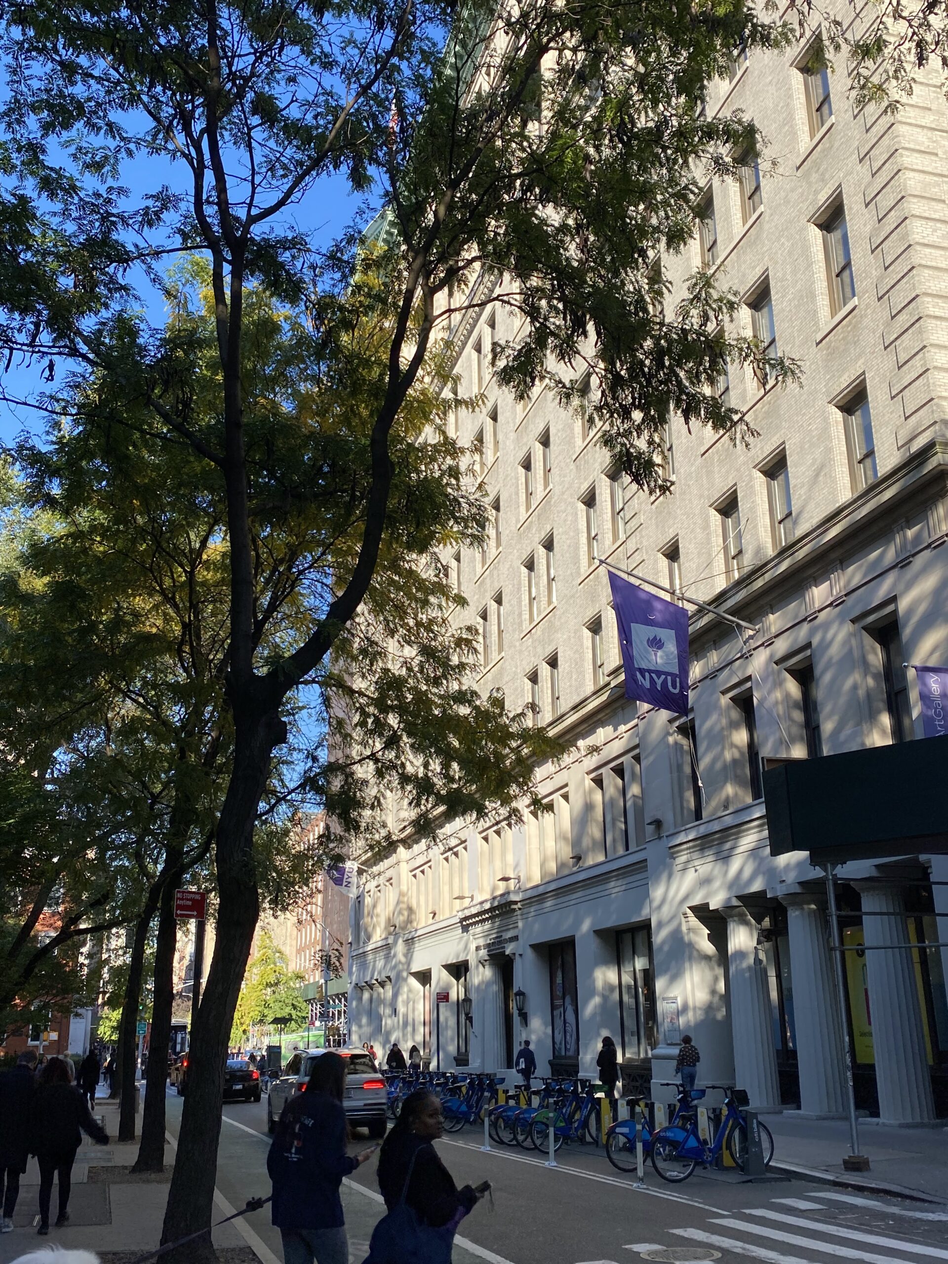 Photo of a street on NYU's campus showing tall buildings with NYU flags and a busy street below.