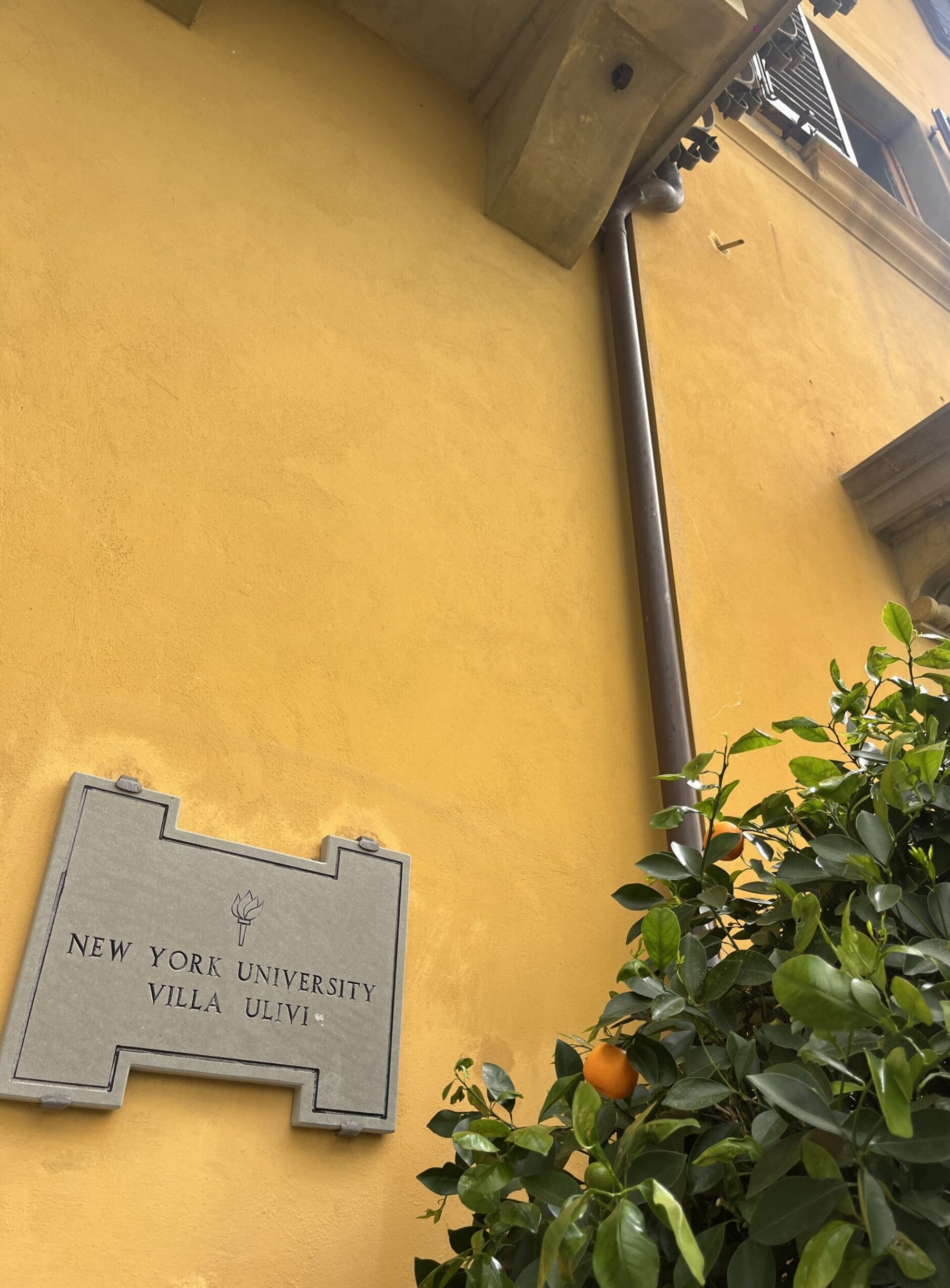 NYU Florence Campus