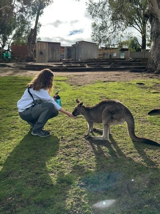 Student Angelina Gerlich holds out her hand for a small kangaroo to sniff.