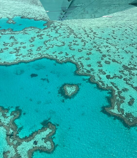 A bird’s eye view of clear blue water.