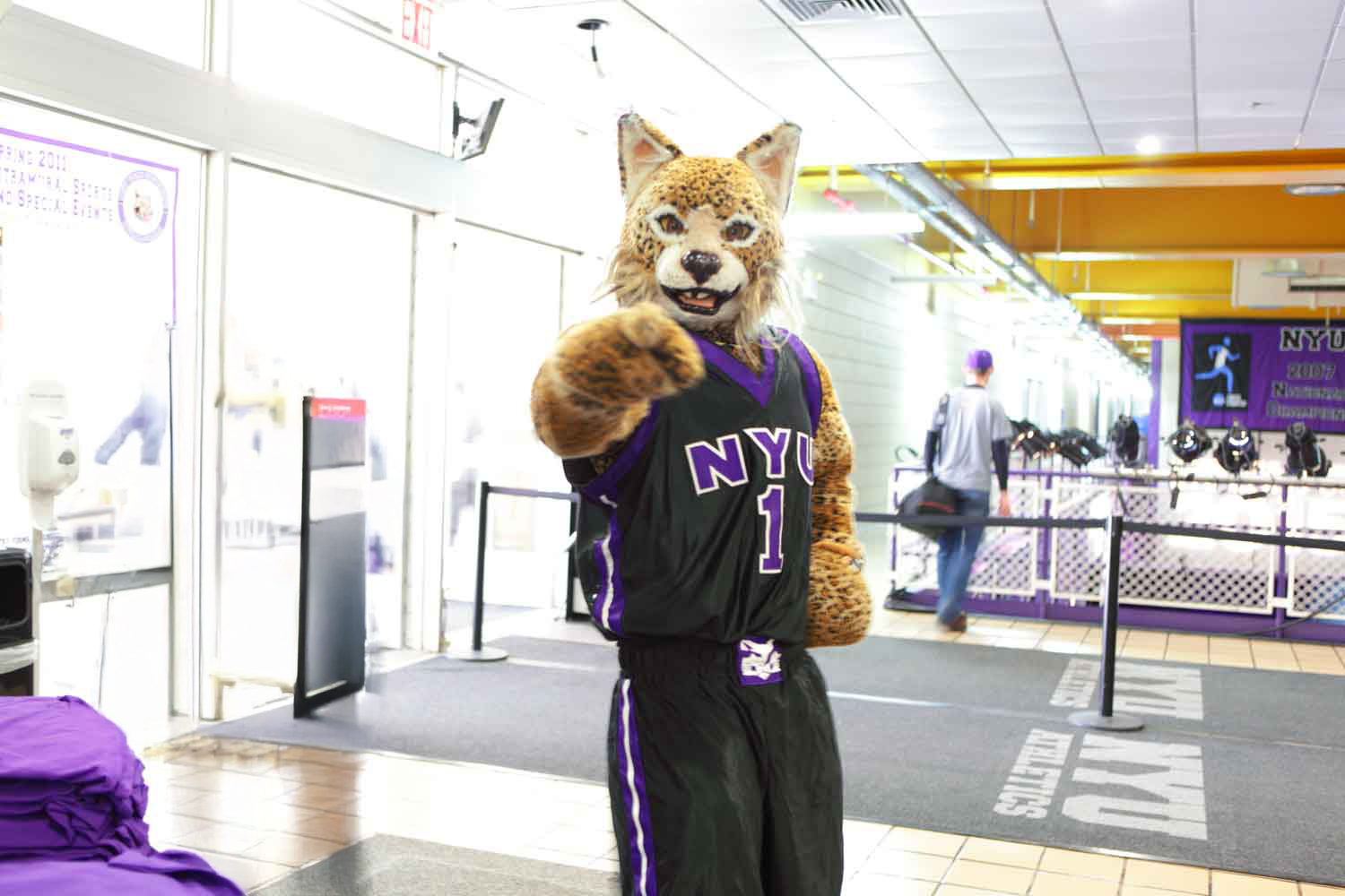 The NYU Bobcat posing for a photo in an athletics facility.
