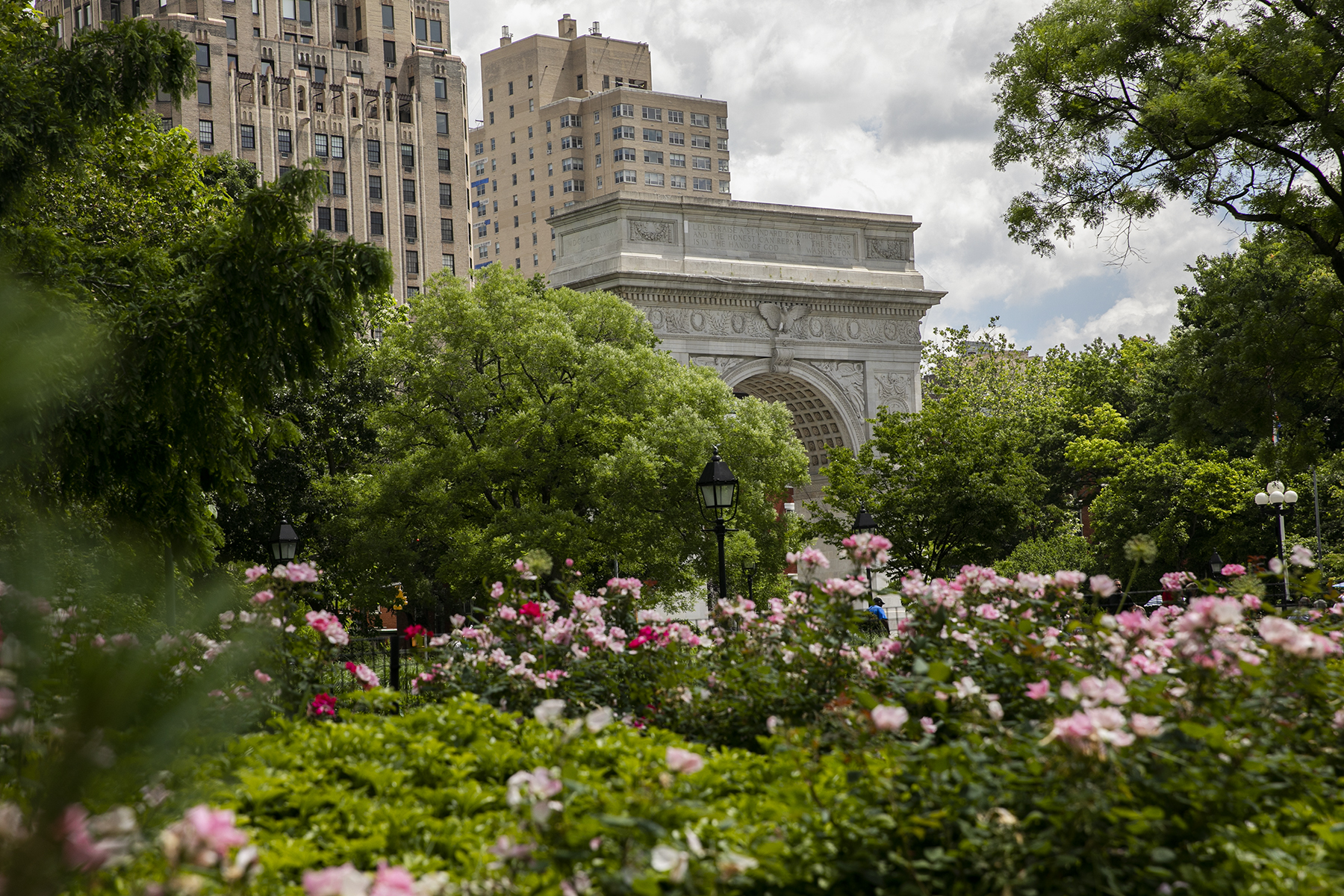 nyu marble arch pink flowers