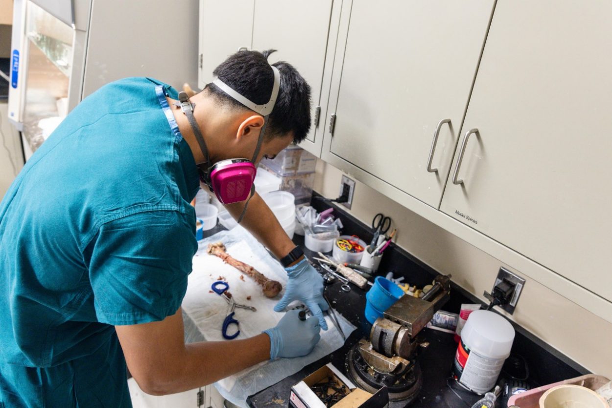 Massimo does tests on a cadaver bone.