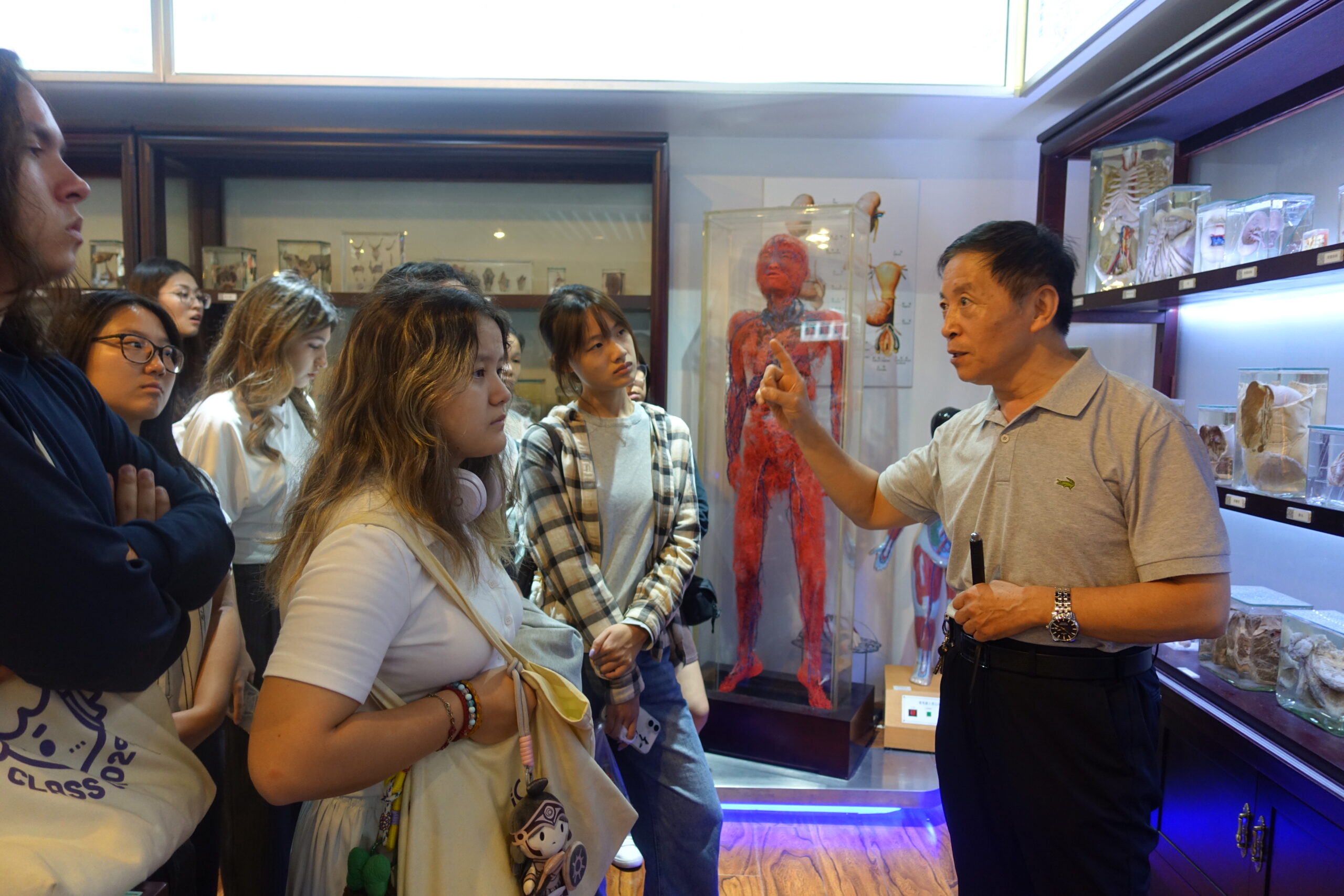 A tour guide explains anatomical displays to a group of students inside a museum, with preserved specimens and a full-body model in the background