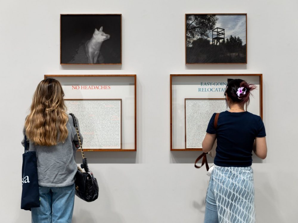 Two students looking at a pair of art pieces hung up on a white gallery wall.