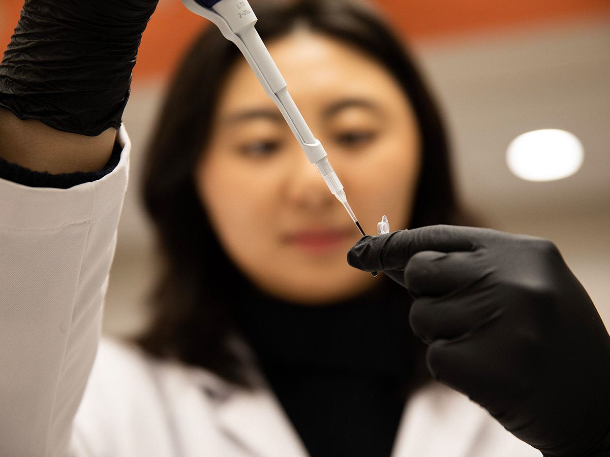 Student researcher uses a pipette to transfer a sample in a laboratory.