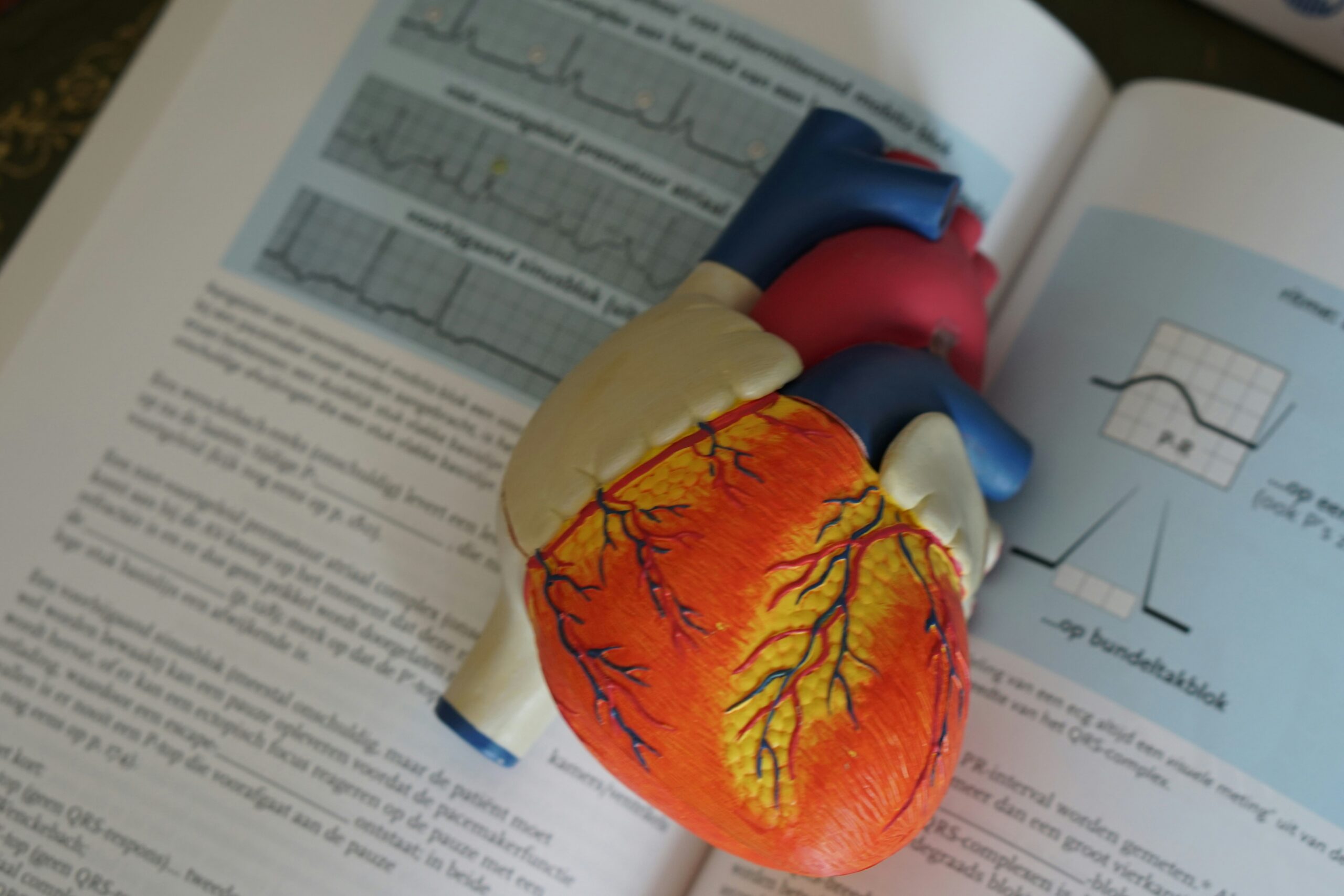 Anatomical heart model resting on an open medical textbook with ECG diagrams and cardiovascular charts
