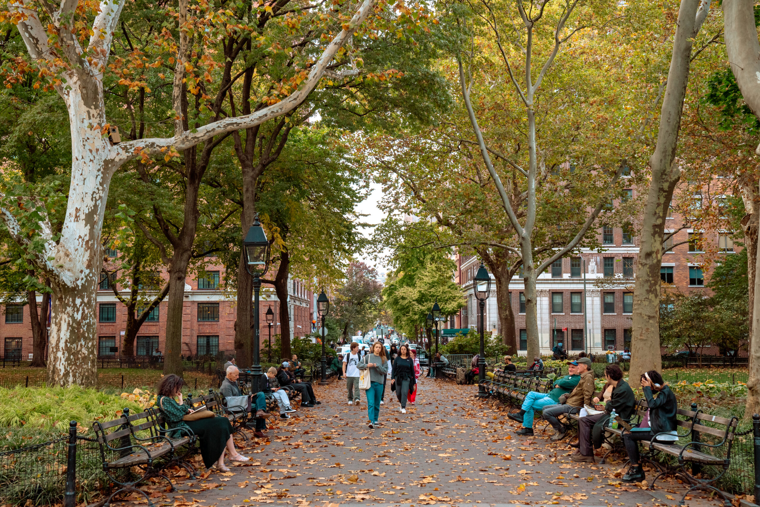 People walk along a tree-lined path and relax on benches in Washington Square Park.