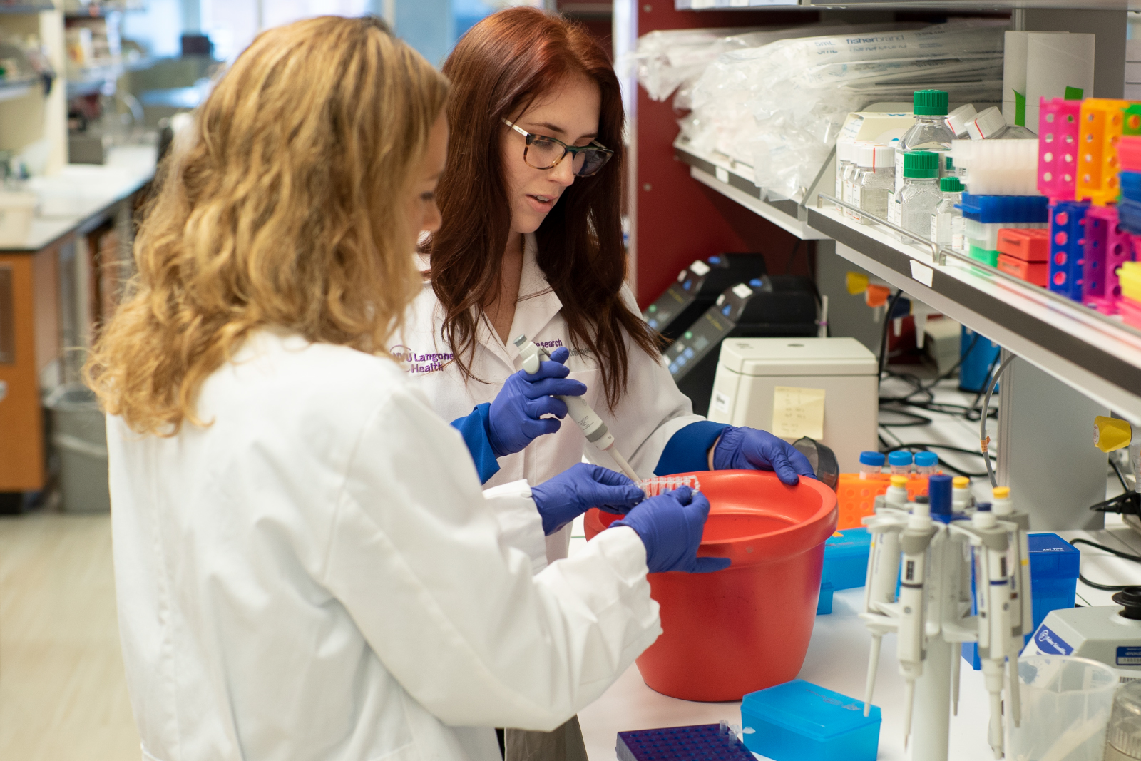 Two students working together in an NYU lab