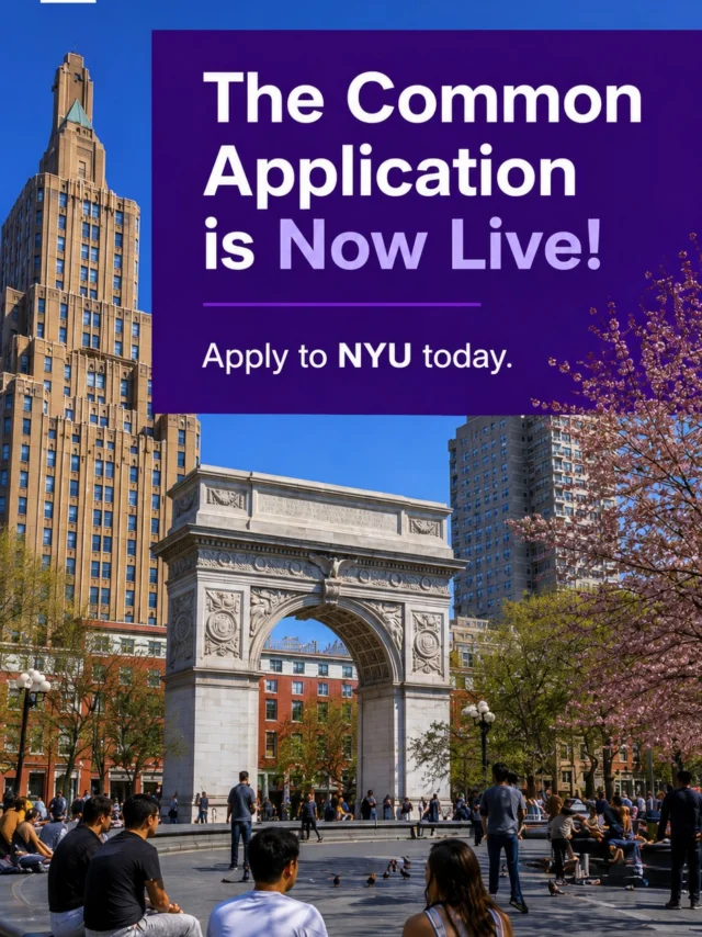 MEET NYU - Home